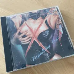 X JAPAN  X ヴァニシングヴィジョン初回限定盤　歌詞ブックレットのみ 数量は多 X JAPAN X ヴァニシングヴィジョン初回限定盤 歌詞
