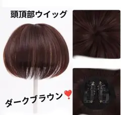 Item thumbnail for item 26e88df5-5f18-4458-afa6-23945026cc12