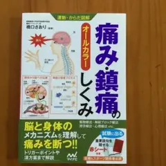 運動・からだ図解 痛み・鎮痛のしくみ