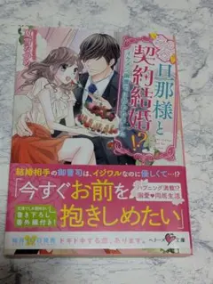 旦那様と契約結婚!? イケメン御曹司に拾われました　TL小説
