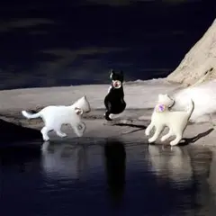 白猫と黒猫のトライアングル