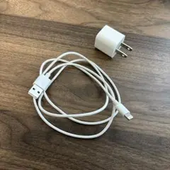 Apple 純正 Lightningケーブルと充電器セット