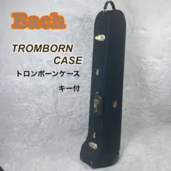 Item thumbnail for item 9c34011f-cd13-4aea-af36-25f914cf7cdf
