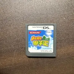 パワポケ甲子園 Nintendo DS