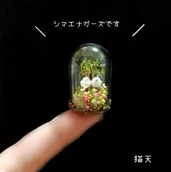【極小ミニチュア　あみぐるみ】森に棲むシマエナガーズちゃま