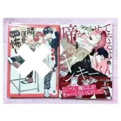 ■ BL 漫画 コミック 柊のぞむ