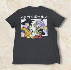 【DRAGON BALL Z ドラゴンボールZT ギニュー 孫悟空 アニメ M】