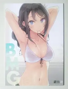 青春ブタ野郎はバニーガール先輩の夢を見ない 青ブタ 同人誌 イラスト集 BMG