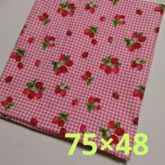 はぎれ　ハギレ　いちご柄　いちご　女の子