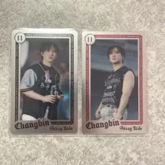 stray kids ランダムライブフォトカード チャンビン