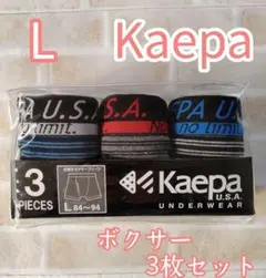 ケイパ Kaepa L ボクサーブリーフ 3枚セット 前開き メンズ パンツ
