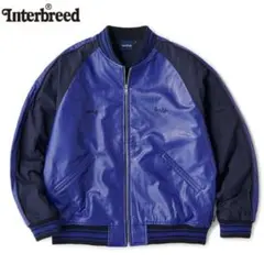 interbreed レザージャケット　スタジャン INTERBREED インターブリード スタジャン RAW × Varsity Jacket