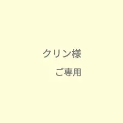 クリン様ご専用です。