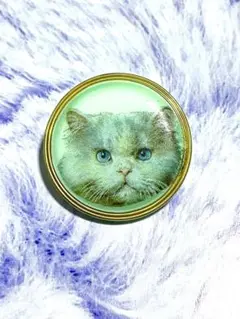 Item thumbnail for item c078701a-1421-45b4-8332-91fb308991bb