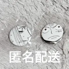 ワンピース オールフェイス缶バッジ ルフィ ビビ