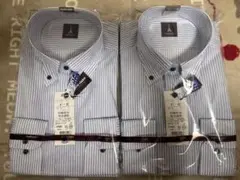 Item thumbnail for item 3e75e423-fb11-4cee-b789-6c313aa65245