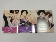 溢れて零れて、我慢できない overflow 上下 やまち アニメイト小冊子付き