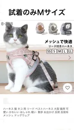 Item thumbnail for item 779bee8c-8a30-45cd-a8fb-b551faa70d2d