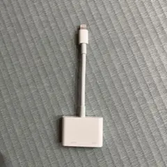 Apple HDMI端子