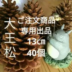 いちごDX☆*:.。. o .。.:*☆様確認用