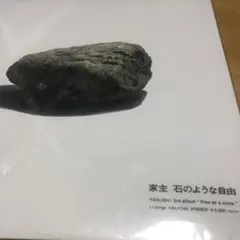 家主 LPレコード 新品未使用品