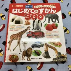 はじめてのずかん 300