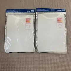 Item thumbnail for item 6a6ff444-786f-404f-8ca6-66ce5c66611e