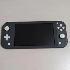 Nintendo Switch Lite グレー