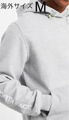 The North Face Tech hoodie in grey