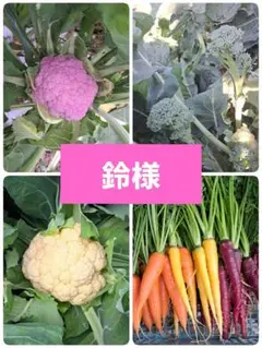 鈴様専用です!冬野菜詰め合わせ