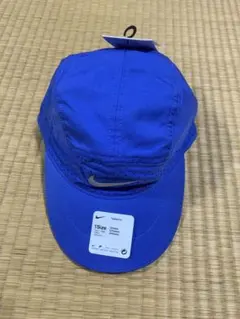 ナイキ ランニングシューズ ズーム ペガサス 38 フライイーズ