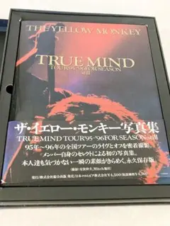 ★【VHSなし】THE YELLOW MONKEY 写真集 TOUR'95-96