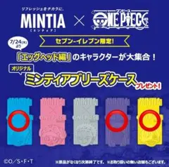 ミンティアブリーズケース ワンピース 3点セット