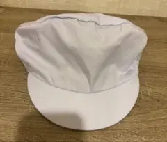 Item thumbnail for item a0a1c8f7-d18b-4c20-b3e9-15b83fccb1e2