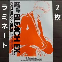 BLEACH 獄頤鳴鳴篇 アクリルボード アクリルアート Amazon.co.jp: BLEACH 獄頤鳴鳴篇 箔押しアクリルアート 証明書