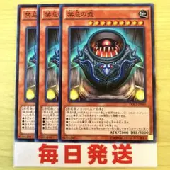 遊戯王　禁忌の壺　3枚セット ピヴォ