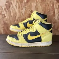 【観賞用】NIKE 1999年製 復刻 DUNK HI アイオワ 27.5㎝