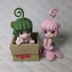 SR 株でいこう！　おなまえかぶたん　出荷かぶたん