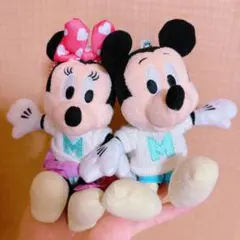 ディズニー　なかよしクラブ　ぬいばセット