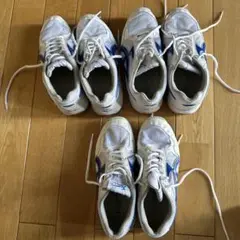 Item thumbnail for item 9a8ac03b-5d29-40c3-ba27-81f4905784ef