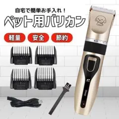 Item thumbnail for item 43d0c295-2fbe-497c-8f7d-5d00a67d4f97