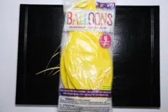 Item thumbnail for item 47257da1-41bc-4e27-80ea-85b56cc93901
