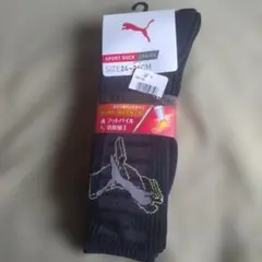 Item thumbnail for item ecb48eec-348a-4fa2-8ce1-3fa16f7102e1