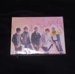 MANKAI STAGE A3!~SPRING 2019~〈2枚組〉DVD