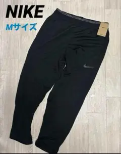 Item thumbnail for item b70dc4a9-8a58-45a4-99d4-4f5a6e660eb2