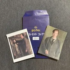 ハリポタ⭐︎ルーピン先生⭐︎シリウスブラック