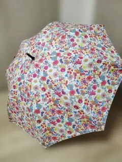 Item thumbnail for item 2ab29c68-bb0d-4f1c-b211-6231c59371d6