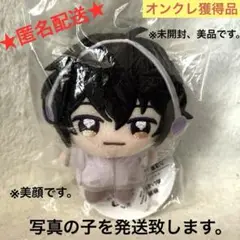 【オンクレ獲得、美品】映画 ギヴン 海へ ぬいぷりけmini 村田 雨月