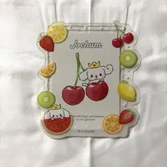 JOCHUM ルル RURU 硬質カードケース
