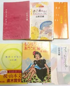 山本文緒、林真理子 小説 6冊セット